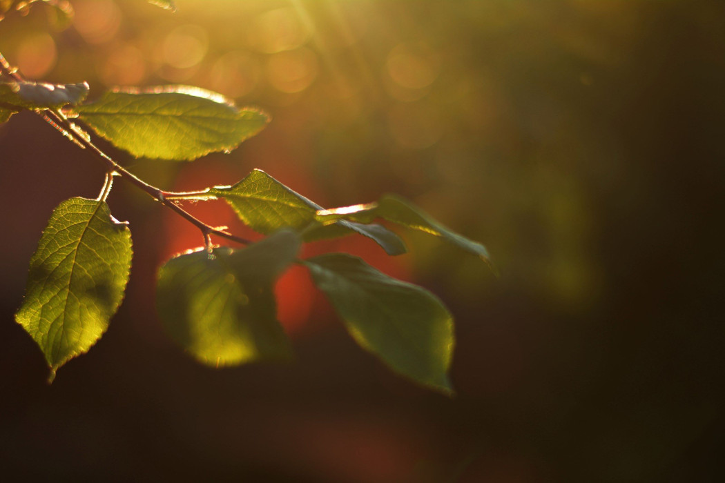 Небывалая жара: 18 мая в Татарстане воздух прогреется до +34 градусов