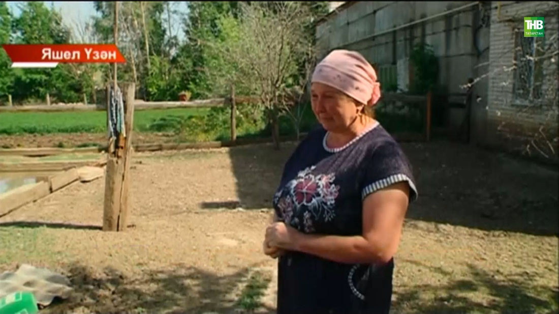 Этләр бер хуҗалыкка кереп, 200 баш каз бәбкәсен буганнар