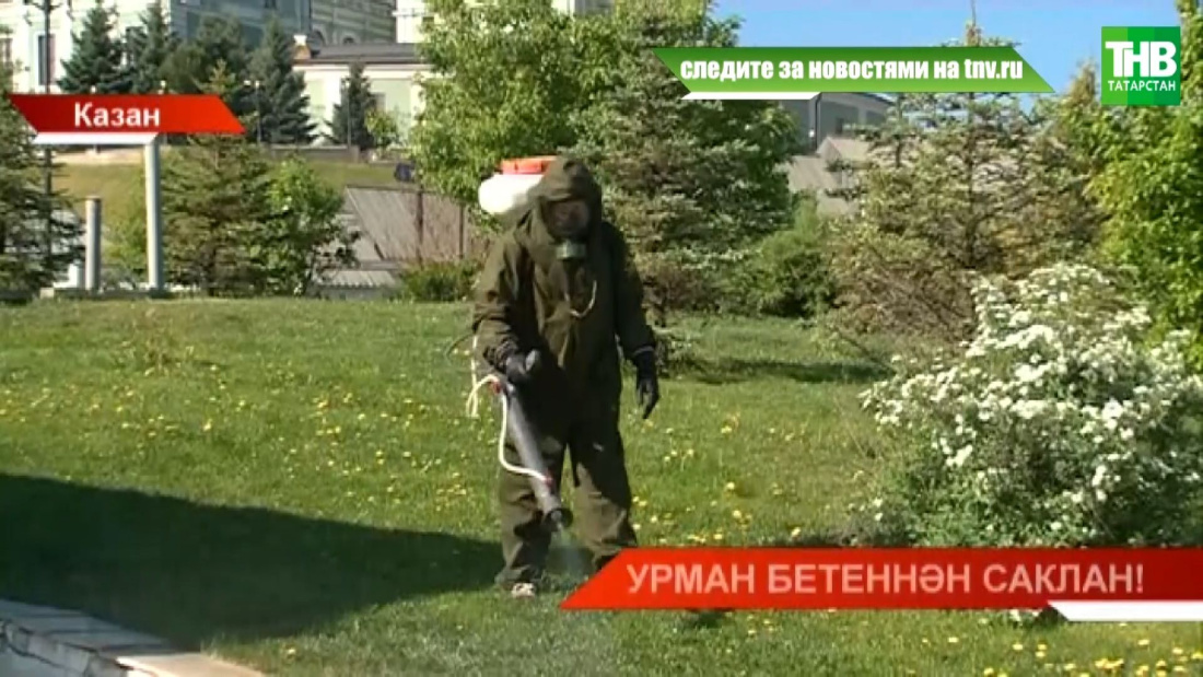 Урман бетеннән саклан