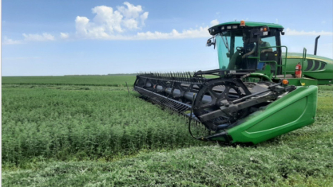 "Бүген һәр көн, һәр мизгел кадерле" - Актаныш районы башлыгы Энгель Фәттахов