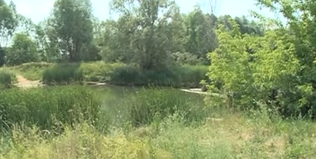 Казандагы күл нигә күбеккә күмелгән була? 