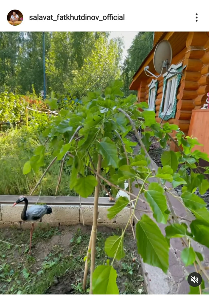 Салават Фәтхетдинов бүген нәрсә җыярга киңәш итә?