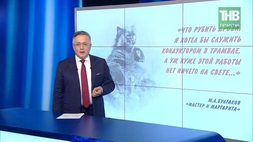 Кот Бегемот: хуже работы кондуктором в трамвае нет ничего на свете. 7 дней