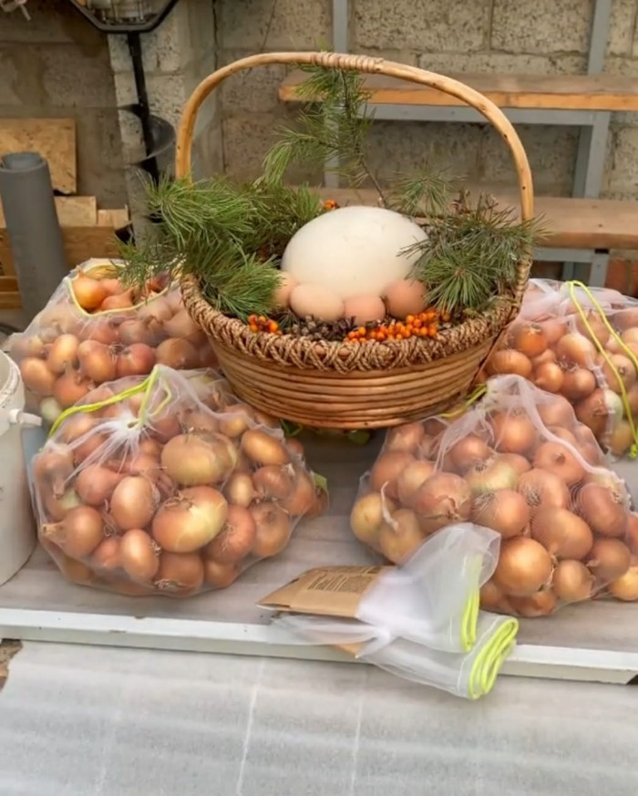 Страус йомыркасы кадәр булган: Салават Фәтхетдинов үзенең уңышын күрсәтте