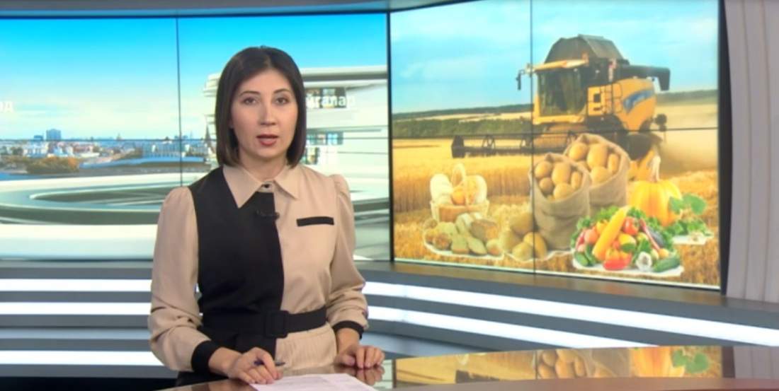 Рөстәм Миңнеханов Федераль хөкүмәткә авыл хуҗалыгына ярдәм буенча мөрәҗәгать итте