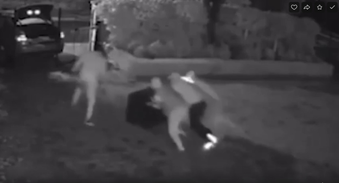 Видео: из дома игрока «Челси» вынесли сейф с ценностями и медалями во время игры с «Зенитом»